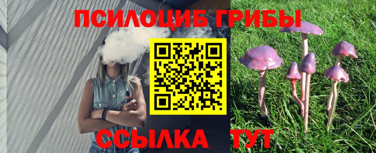 Галлюциногенные грибы прущие грибы  Псилоцибиновые грибы мицелий  Вход с VPN  Бузулук 