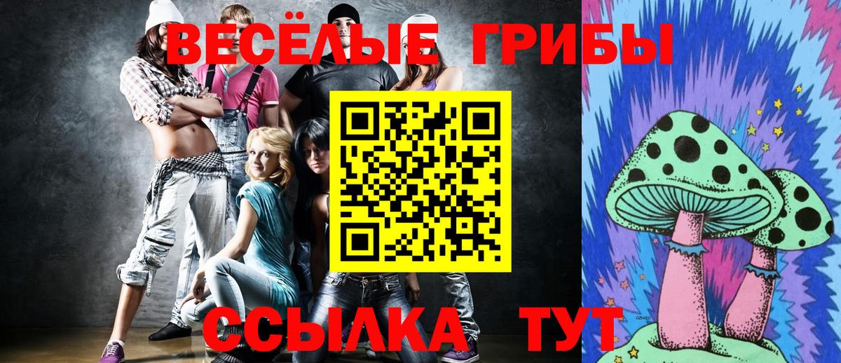 Псилоцибиновые грибы мухоморы Бузулук